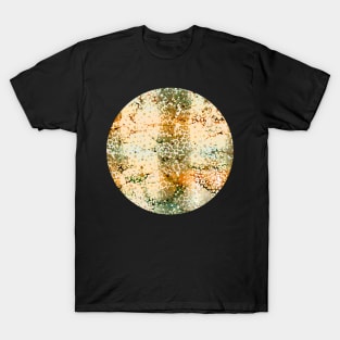 Colourful gradient unique flowers leopard stripes abstract modern 285 Pattern T-Shirt